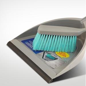 Champion Dustpan with Brush