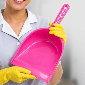Plastic Dustpan C Tec