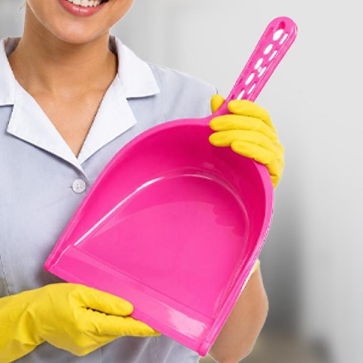 Plastic Dustpan C Tec