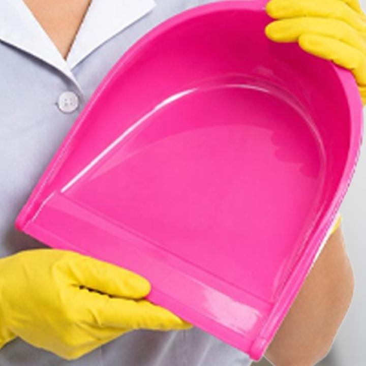 Plastic Dustpan C Tec